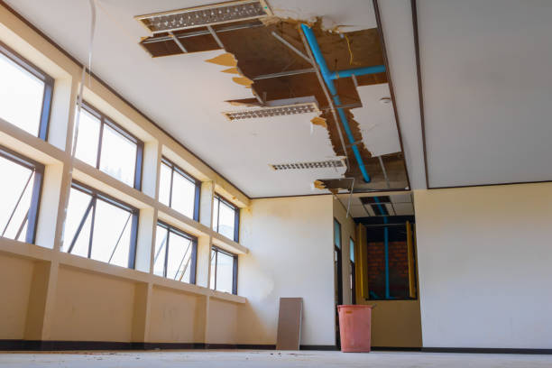 Best Sewage cleanup and water damage restoration  in Palm Coast, FL