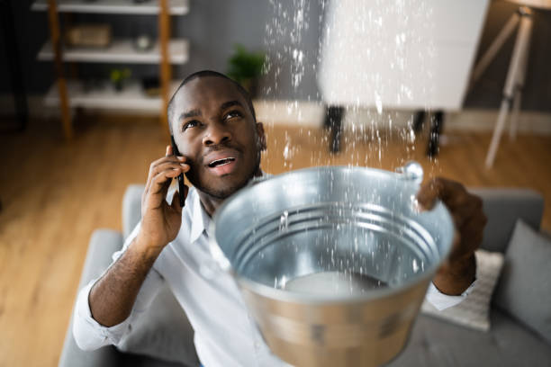 Best Residential water damage restoration  in Palm Coast, FL