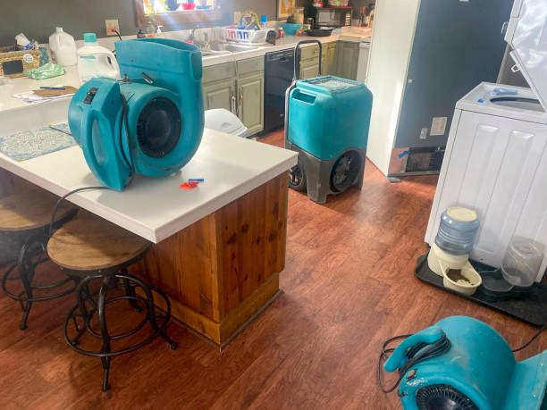 Best Flooded house restoration  in Palm Coast, FL