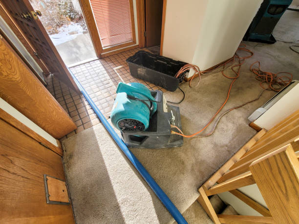 Best Water damage restoration near me  in Palm Coast, FL