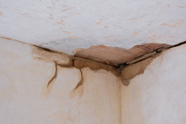 Best Basement water damage restoration  in Palm Coast, FL