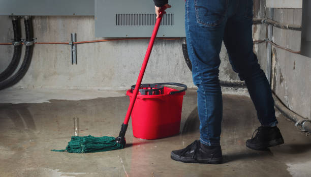 Best Water damage repair service  in Palm Coast, FL