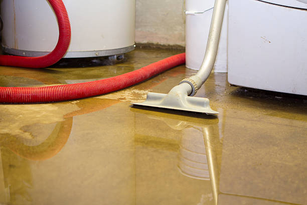 Best Water damage restoration near me  in Palm Coast, FL