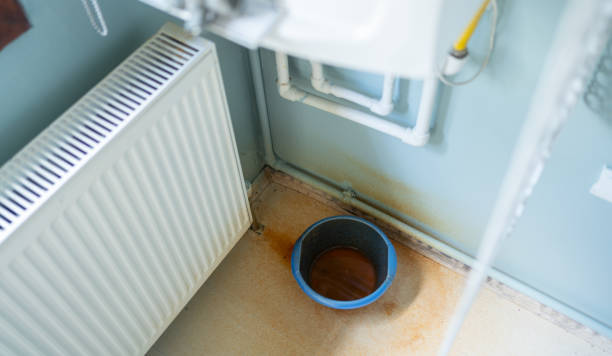 Best Professional water damage repair  in Palm Coast, FL