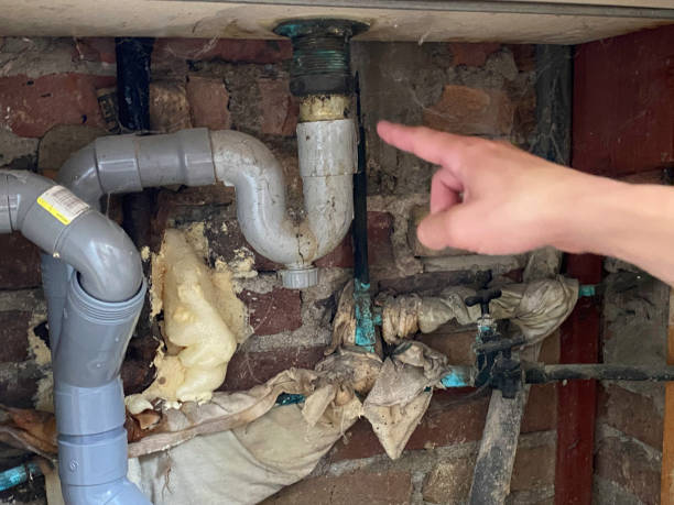 Best Water damage restoration near me  in Palm Coast, FL