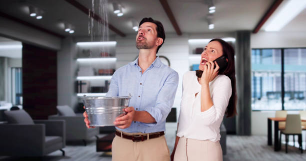 Best Professional water damage repair  in Palm Coast, FL